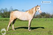 Ponette D 5 ans