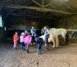 Cours d'équitation