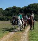 Cours d'équitation