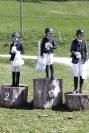 Super poney d’enfant pour débuter et performer en  CSO 