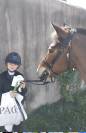 Super poney d’enfant pour débuter et performer en  CSO 