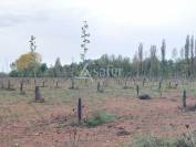 Résidence de gîtes sur 11ha en Périgord noir