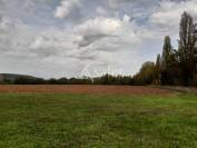 Résidence de gîtes sur 11ha en Périgord noir