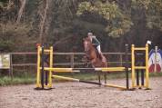 Poney de sport 