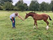 Stagiaire galop 7