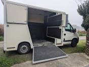 Opel Movano 140 Ch 2 chevaux tête arrière