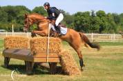 Pension bien être chevaux