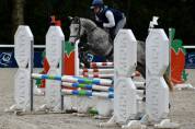 Poney de sport CSO Hunter 