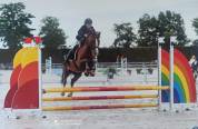 poney PFS 6 ans poney d'avenir - qualité et gentillesse