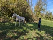 Comportementaliste, Cavalière, soigneuse. 