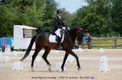 Hongre 5 ans dressage par quaterbold 