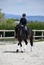 Hongre 5 ans dressage par quaterbold 