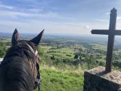 Hongre 5 ans dressage par quaterbold 