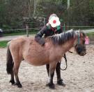 Poney B 3 ans en 2025