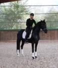 Magnifique jument de dressage KWPN