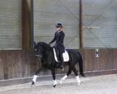 Magnifique jument de dressage KWPN