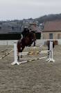 Caballo castrado Zangersheide En venta 2021 Bayo