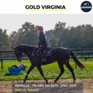 MAGNIFIQUE JUMENT - GOLD VIRGINIA - 5 ANS