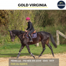 MAGNIFIQUE JUMENT - GOLD VIRGINIA - 5 ANS