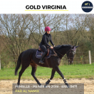 MAGNIFIQUE JUMENT - GOLD VIRGINIA - 5 ANS