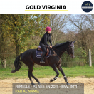 MAGNIFIQUE JUMENT - GOLD VIRGINIA - 5 ANS