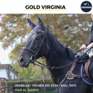 MAGNIFIQUE JUMENT - GOLD VIRGINIA - 5 ANS