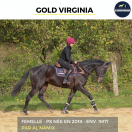 MAGNIFIQUE JUMENT - GOLD VIRGINIA - 5 ANS