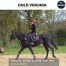 MAGNIFIQUE JUMENT - GOLD VIRGINIA - 5 ANS