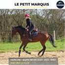 JOLI HONGRE - LE PETIT MARQUIS - 3 ANS