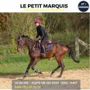 JOLI HONGRE - LE PETIT MARQUIS - 3 ANS