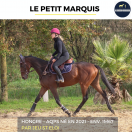 JOLI HONGRE - LE PETIT MARQUIS - 3 ANS