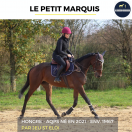 JOLI HONGRE - LE PETIT MARQUIS - 3 ANS