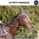 JOLI HONGRE - LE PETIT MARQUIS - 3 ANS