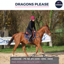 SUPERBE HONGRE - DRAGONS PLEASE - 5 ANS