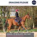 SUPERBE HONGRE - DRAGONS PLEASE - 5 ANS