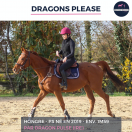 SUPERBE HONGRE - DRAGONS PLEASE - 5 ANS