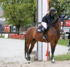 Belle jument de 7 ans de concours pour amateur