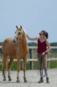 LET'S GO GOLDEN'SONG - VERITABLE PONEY DE DRESSAGE