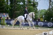 Super cheval de Dressage / Para Dressage pour Amateur