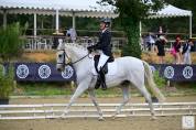 Super cheval de Dressage / Para Dressage pour Amateur