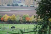 Propriété équestre de 18 hectares (14)