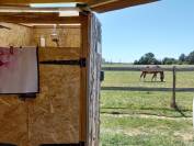 Propose stage d'enseignement au plus proche des chevaux