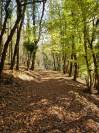 Demeure de caractère en pleine nature sur 67 ha d'un seul tenan