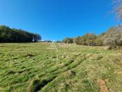 Other country property  Lot