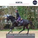 MAGNIFIQUE JUMENT - KIRTA - 4 ANS