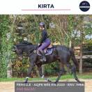 MAGNIFIQUE JUMENT - KIRTA - 4 ANS