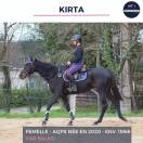 MAGNIFIQUE JUMENT - KIRTA - 4 ANS