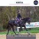 MAGNIFIQUE JUMENT - KIRTA - 4 ANS