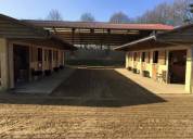 Haras écurie chambre d’hote