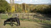 Haras écurie chambre d’hote